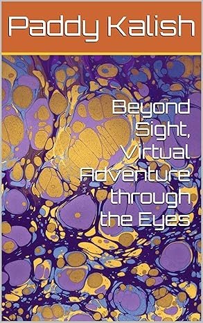 Beyond Sight, Virtual Adventure through the Eyes